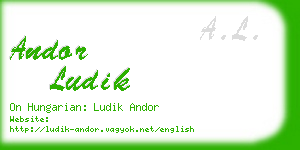 andor ludik business card